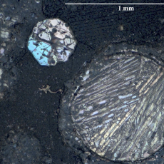 Reflected light image of a thin section of carbonaceous chondrite CV3 from NASA's Antarctic collection, analysed in the study. Several chondrules with bright olivine crystals embedded in a carbonaceous matrix can be seen.