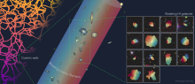 A figure illustrating the rotation of neutral hydrogen (right) in galaxies residing in an extended filament (middle), where the galaxies exhibit a coherent bulk rotational motion tracing the large-scale cosmic web (left).